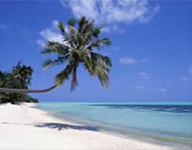 Would You Like to Have a Private Tropical Paradise